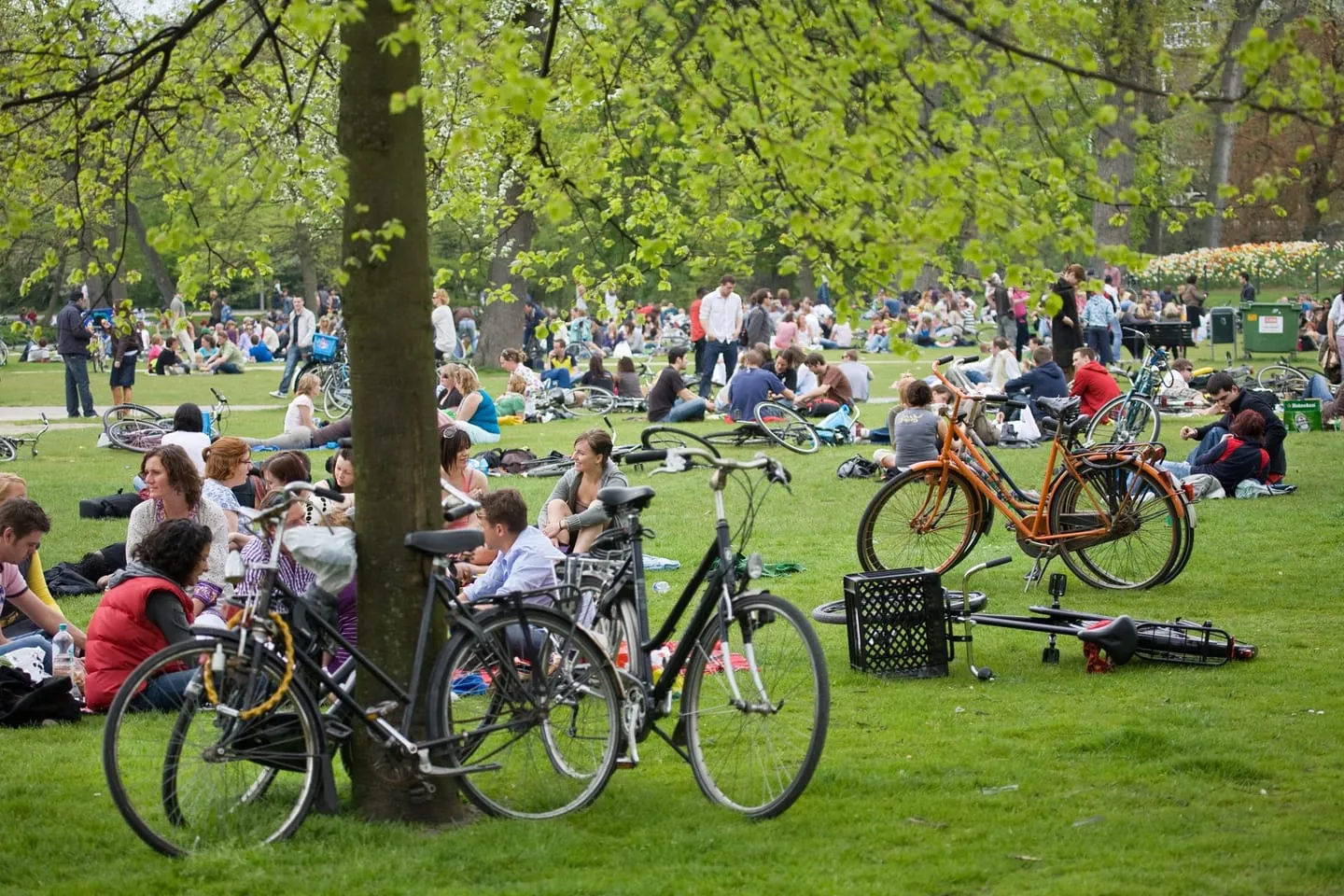 Vondelpark picnic loop