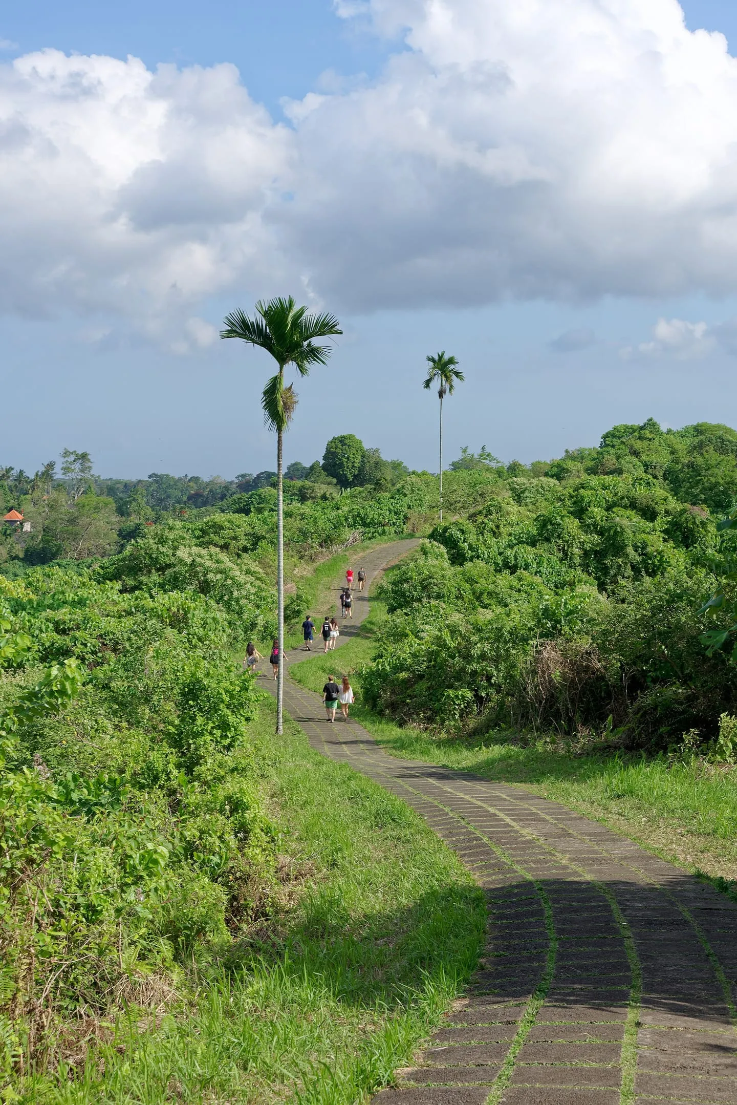 Campuhan Ridge Walk