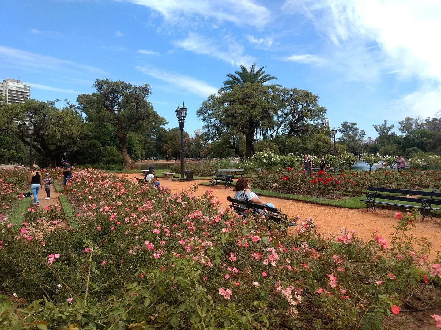 Rosedal y Bosques de Palermo