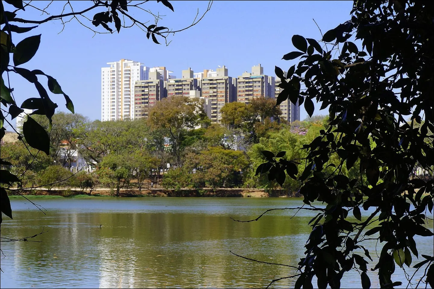 Lagoa do Taquaral