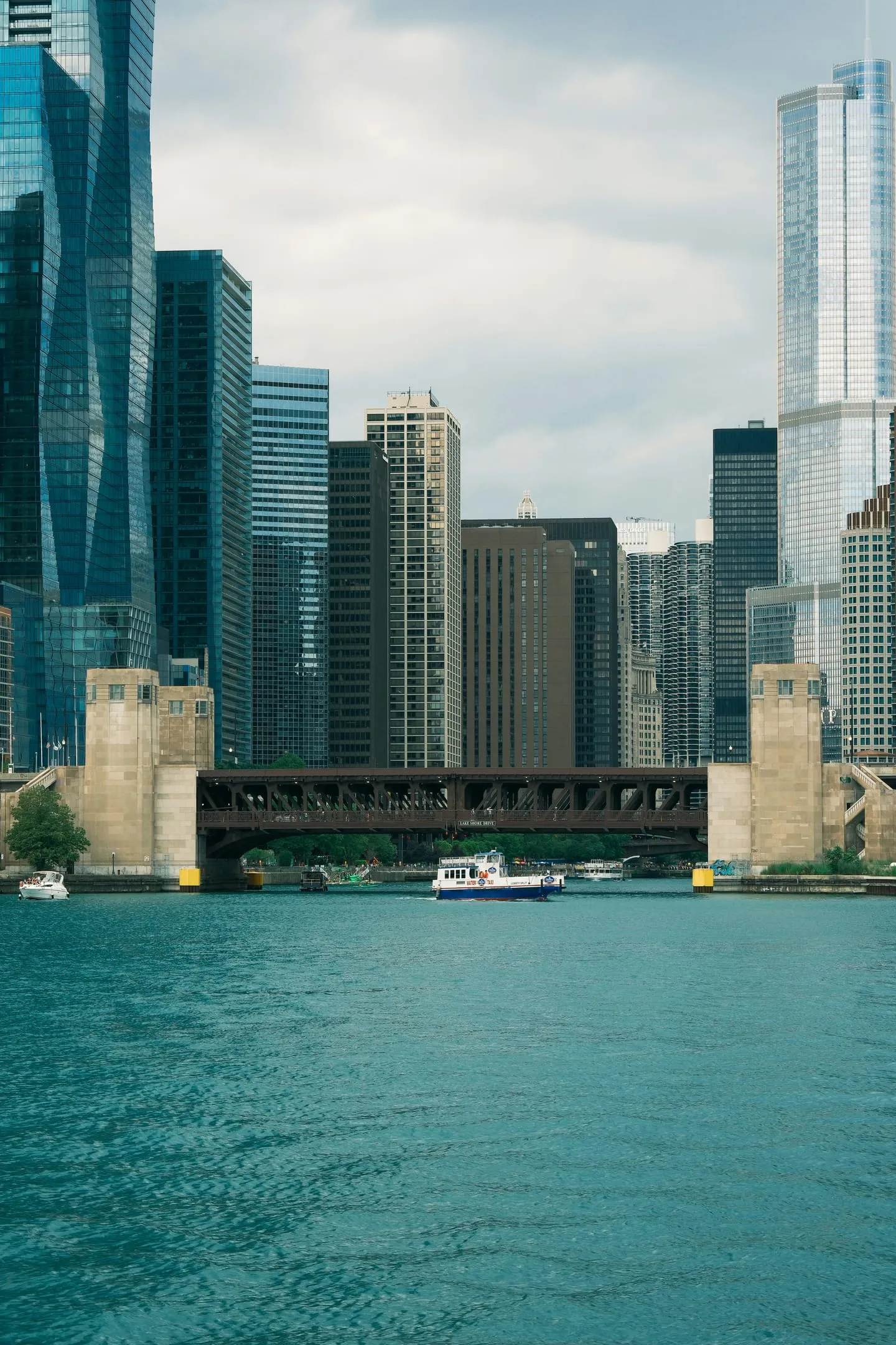 The 606 Trail and Logan Square
