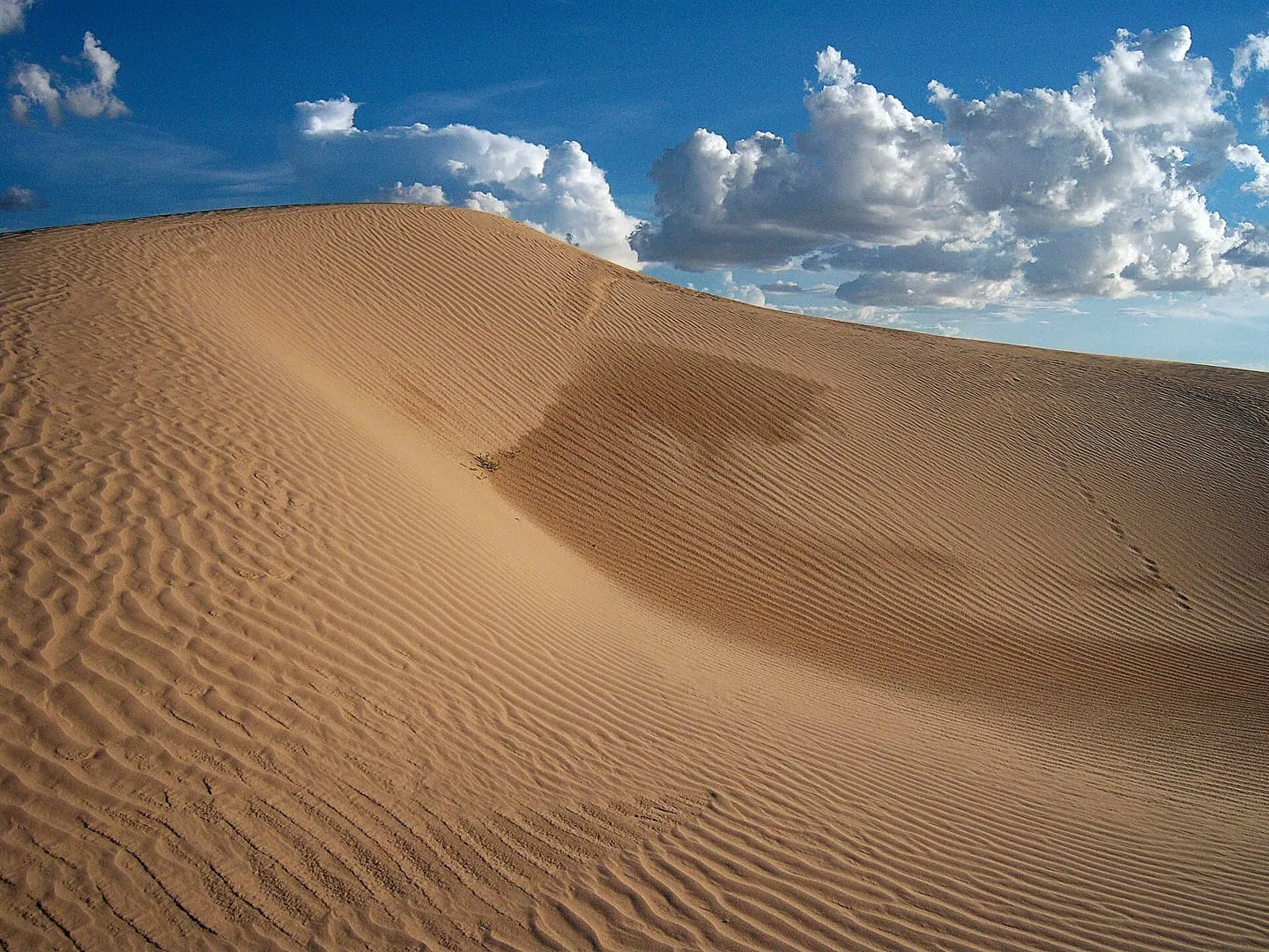 Médanos de Samalayuca, ruta de día