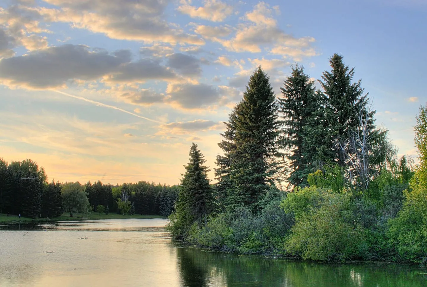 William Hawrelak Park Picnic Loop