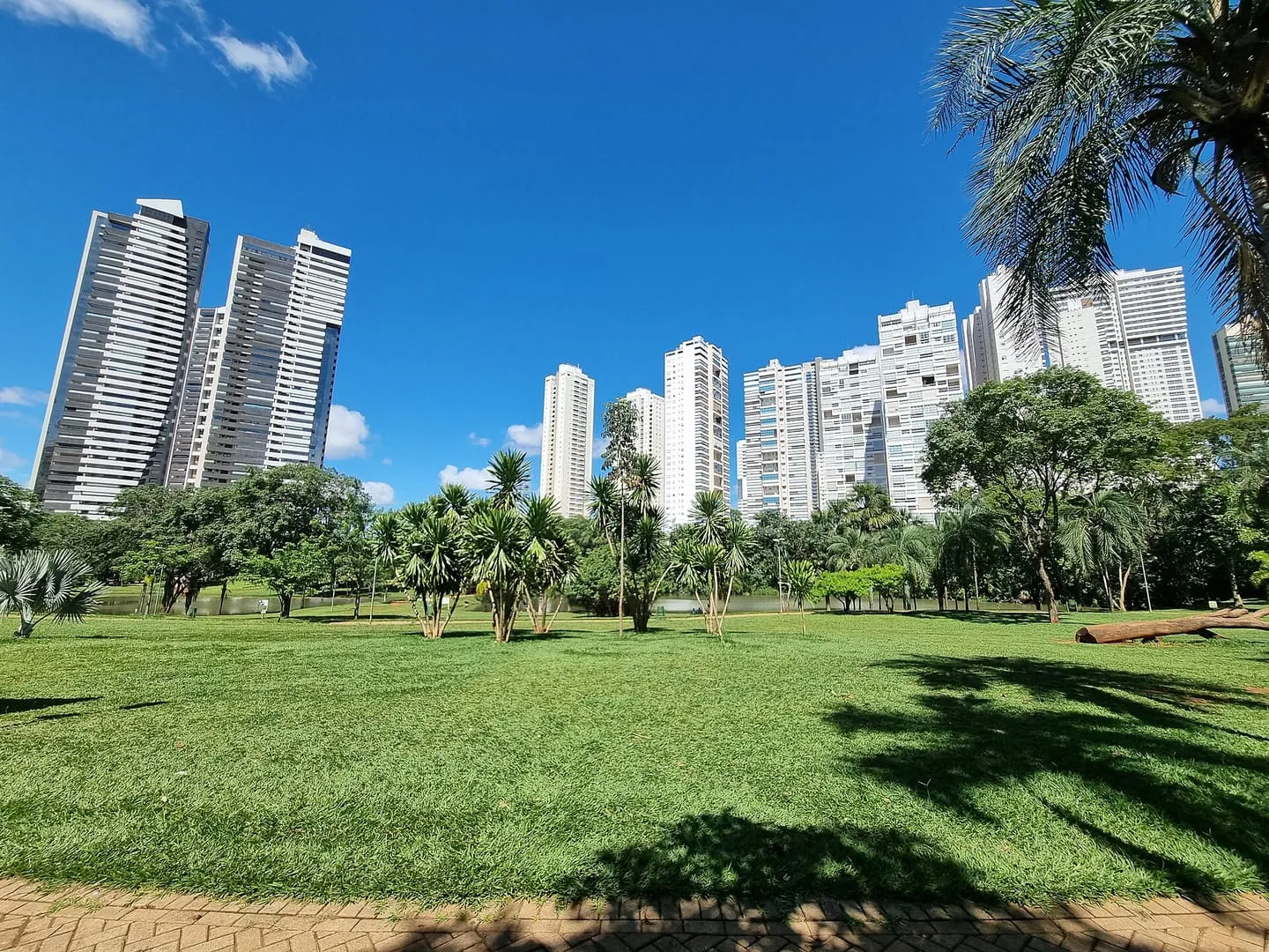 Parque Flamboyant e Jardim Goiás