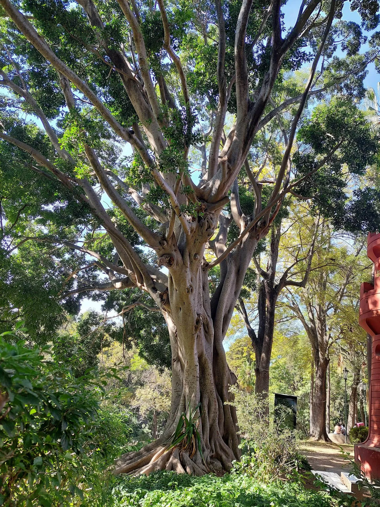 Bosque Los Colomos