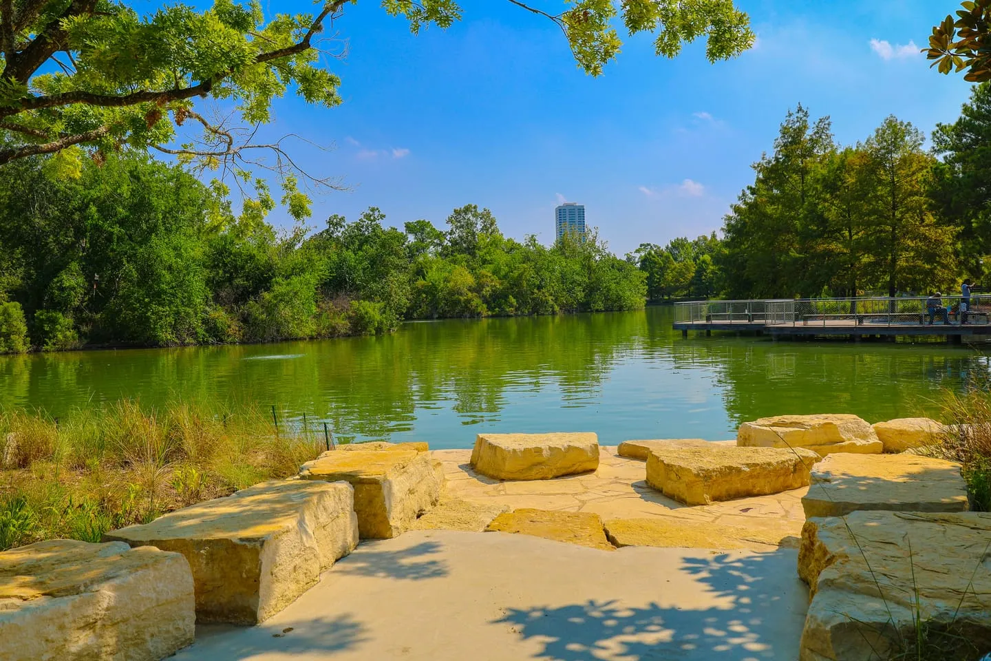 Hermann Park and McGovern Centennial Gardens