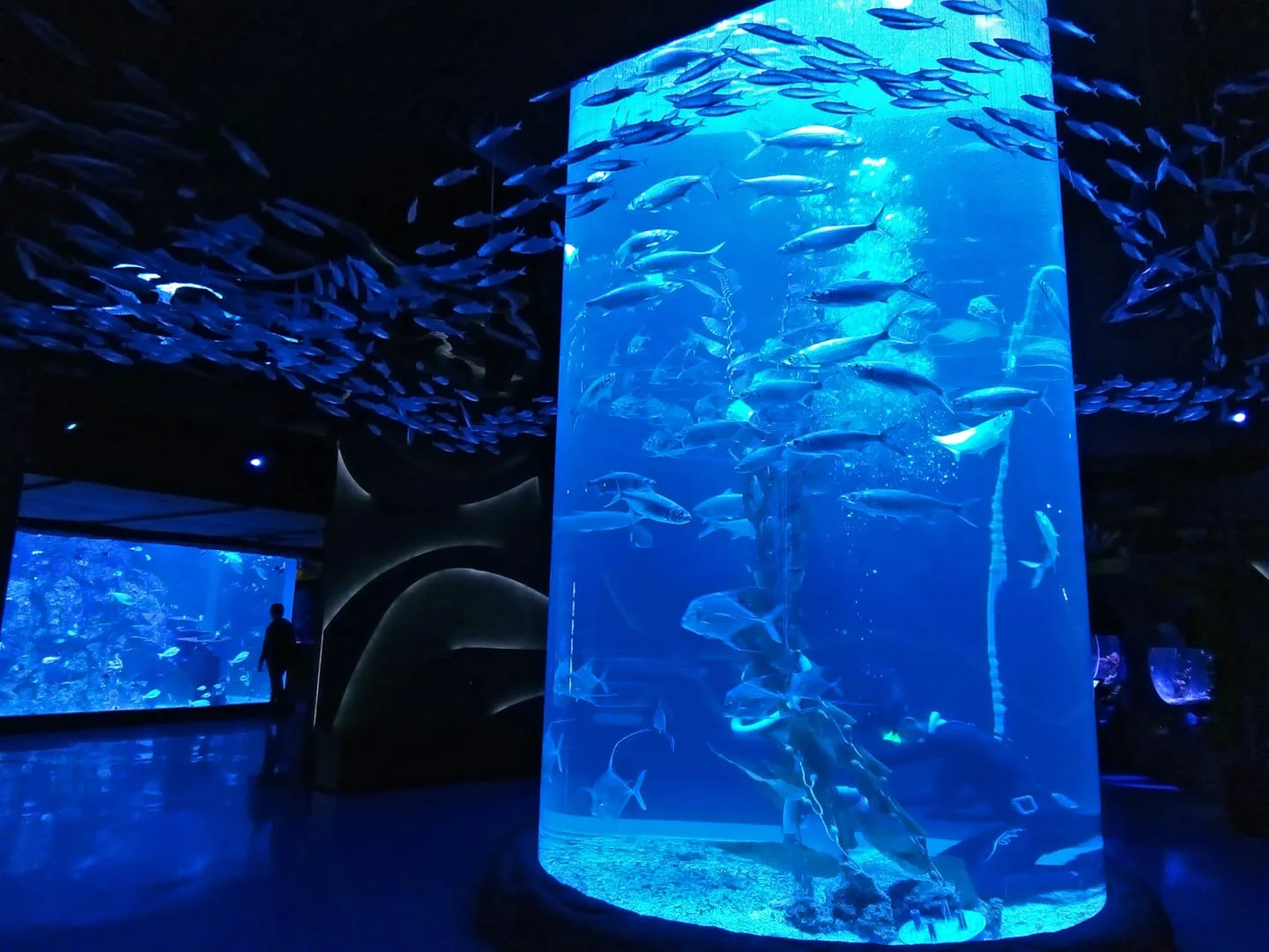 Jakarta Aquarium & Safari