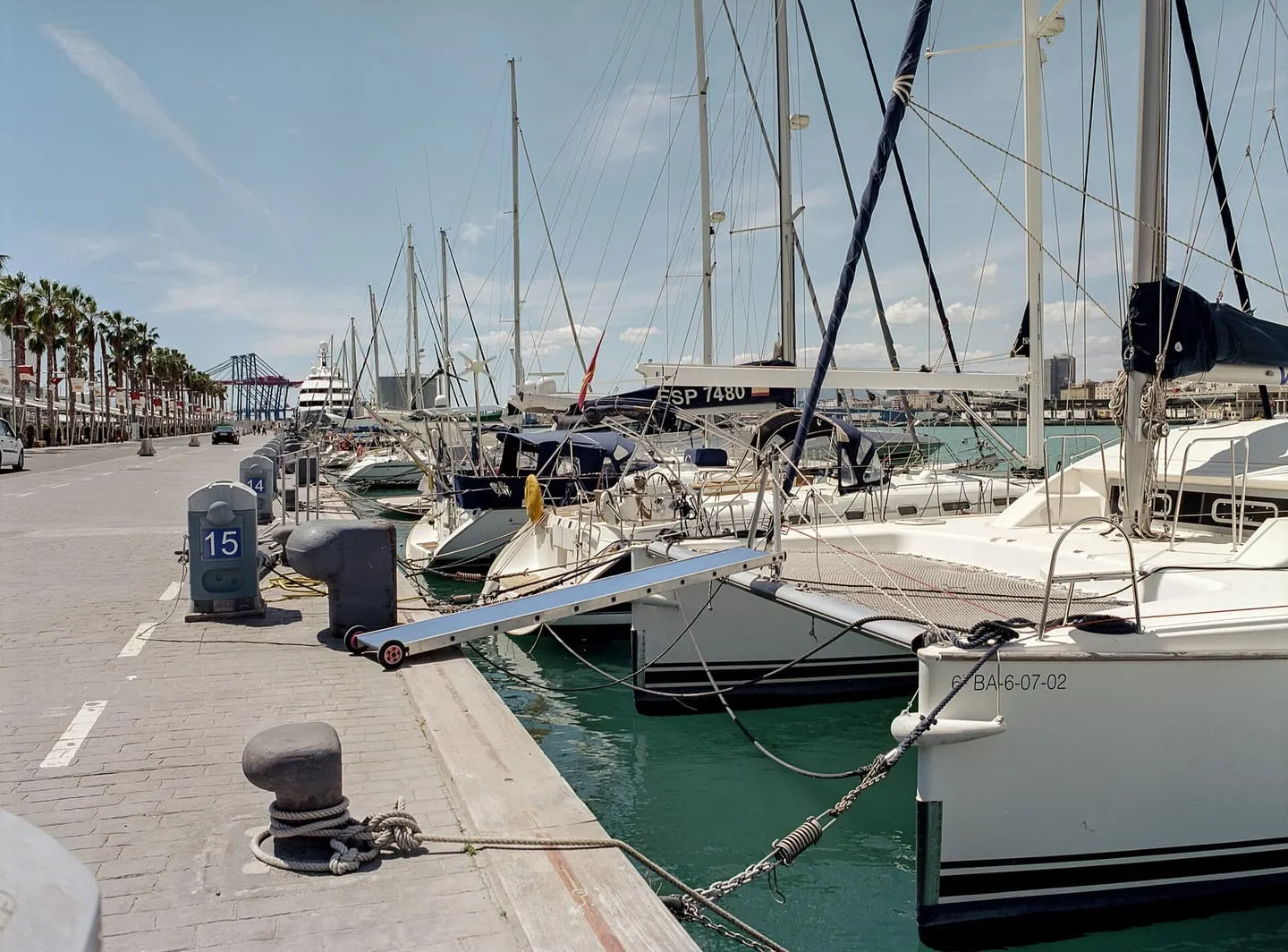 Palmeral de las Sorpresas y Muelle Uno