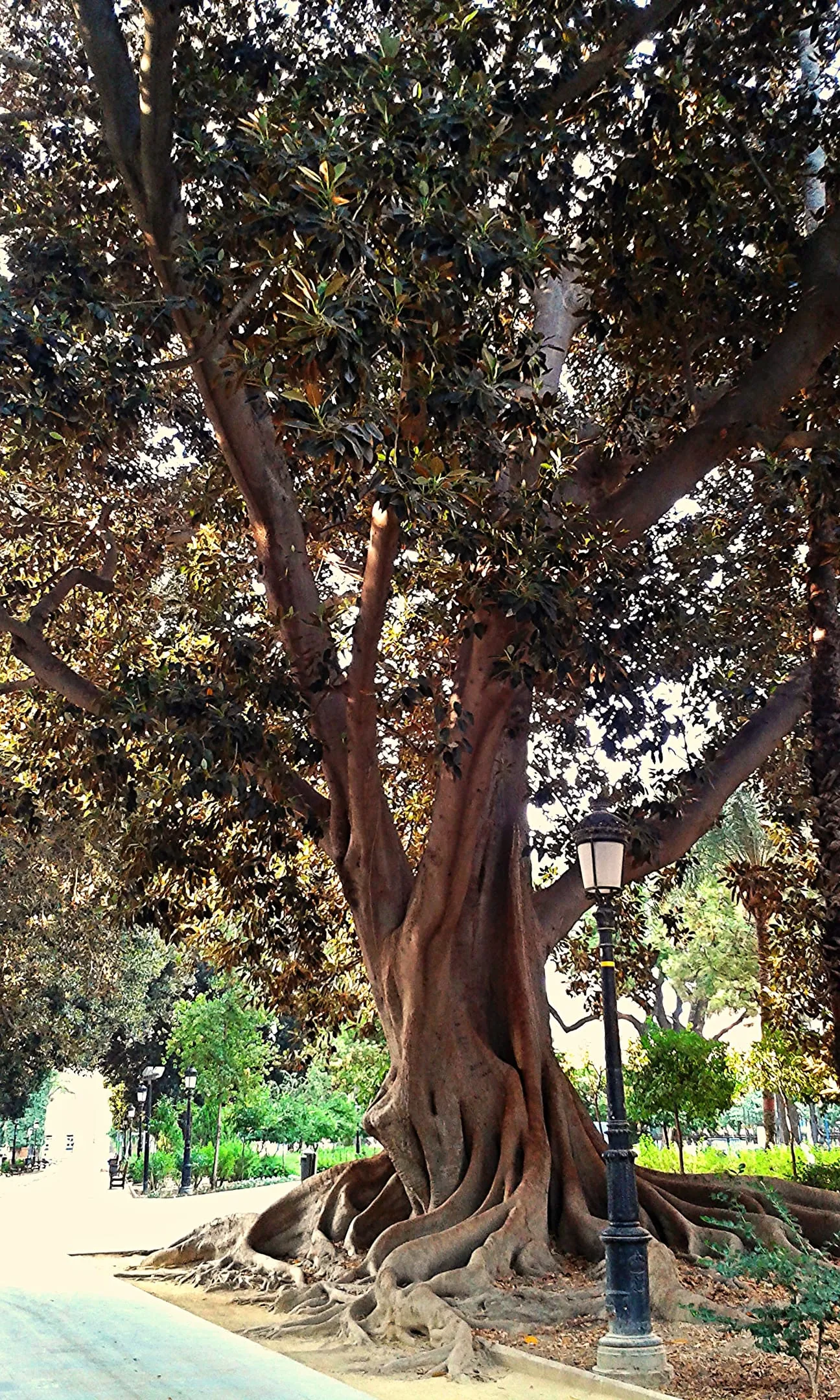 Jardín de Floridablanca