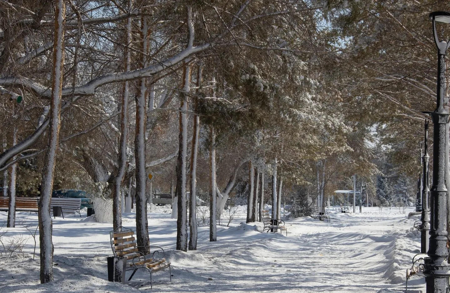 Скверы и парки центра