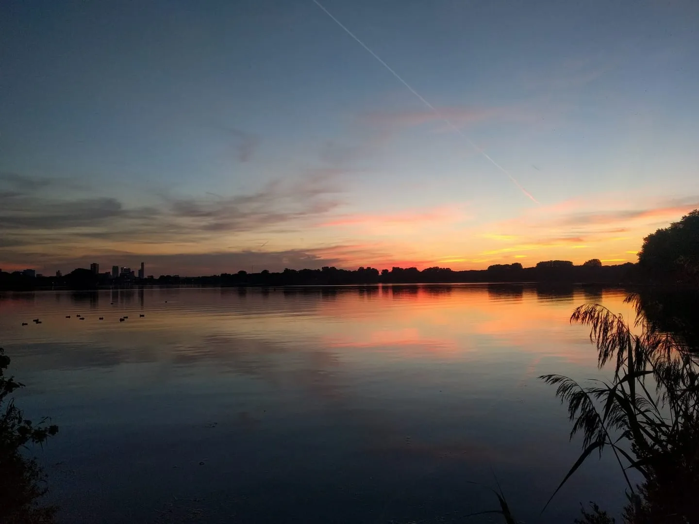 Kralingse Plas lake loop