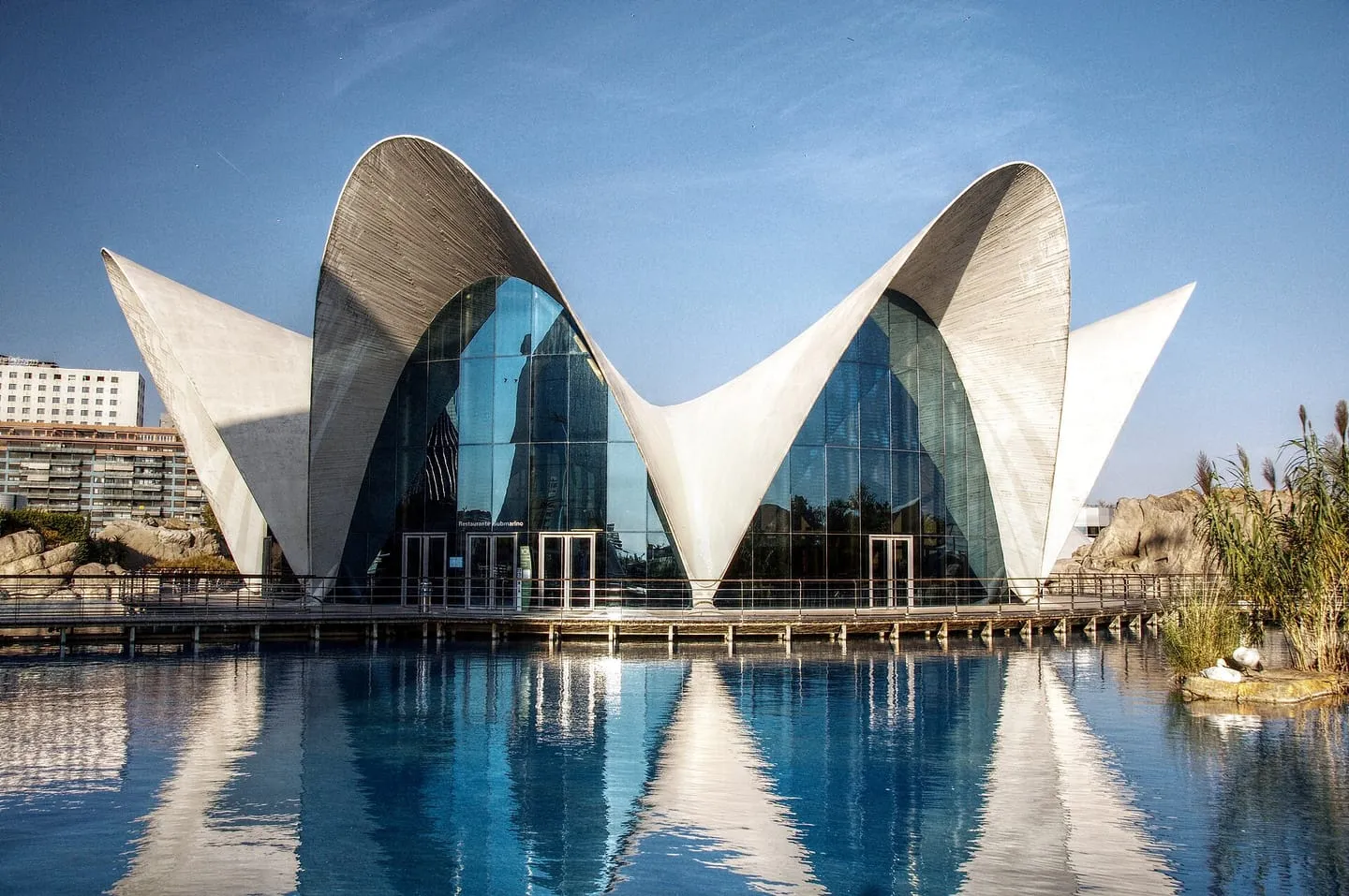 L'Oceanogràfic
