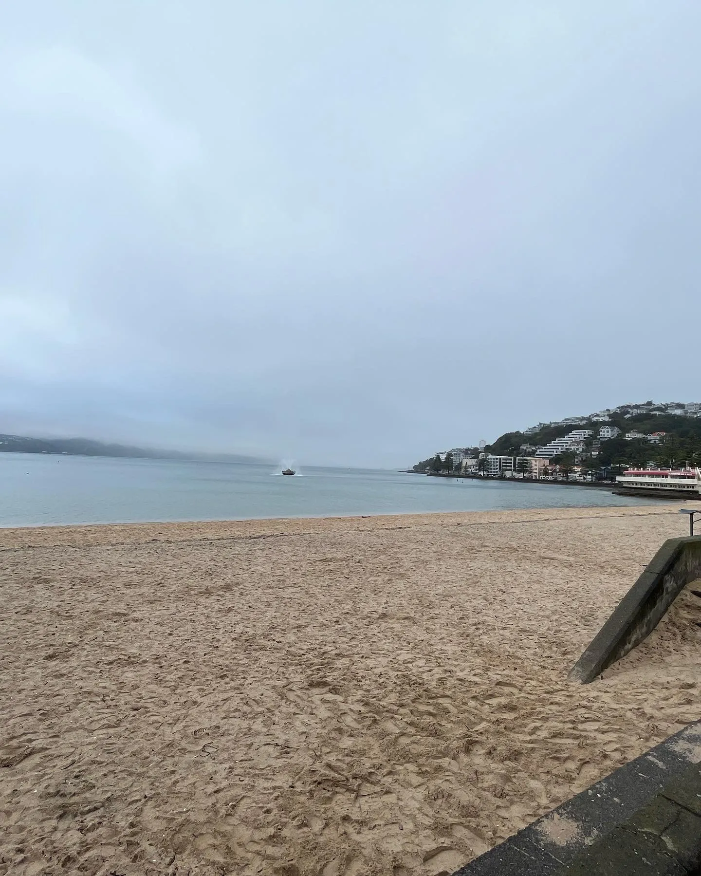Oriental Bay beach