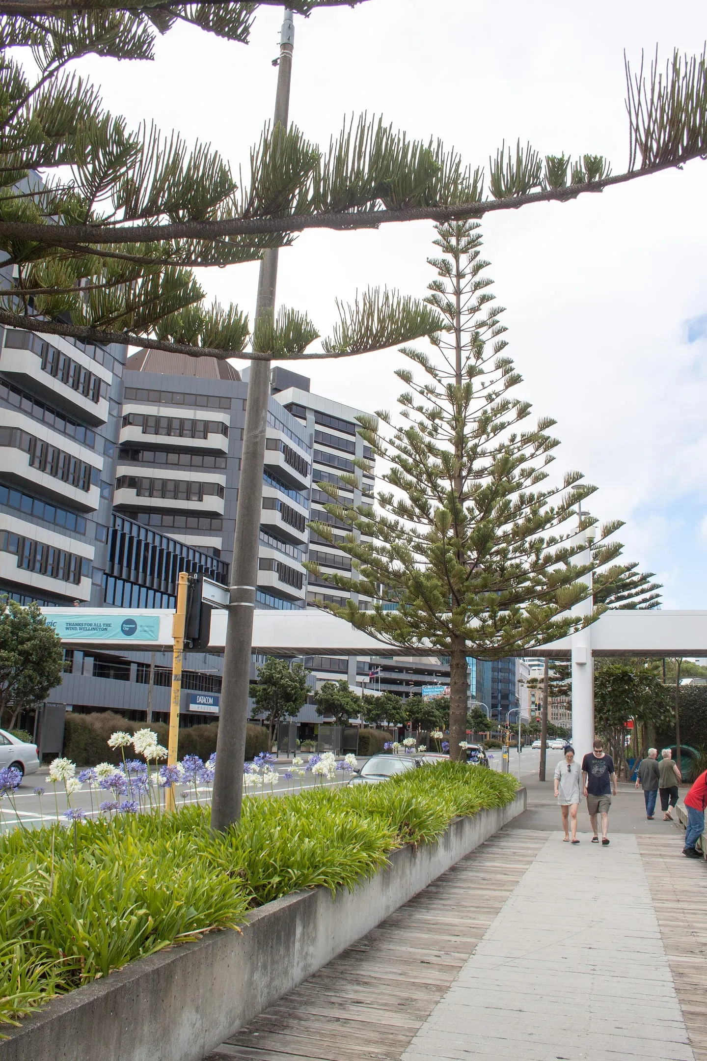 Wellington Waterfront promenade