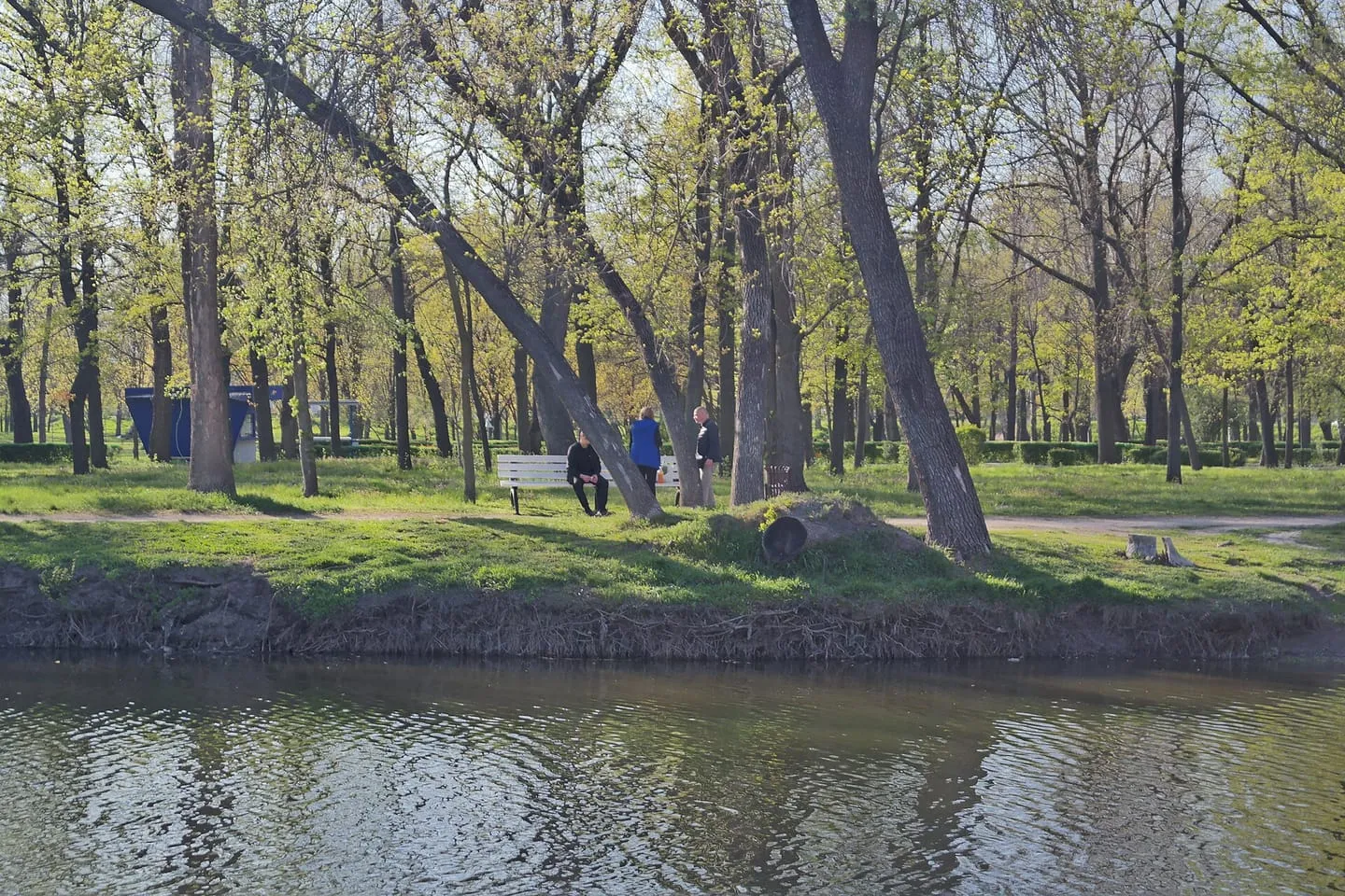 Парк «Дубовый гай»